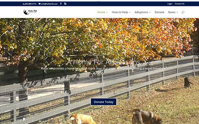 hallie hill animal sanctuary