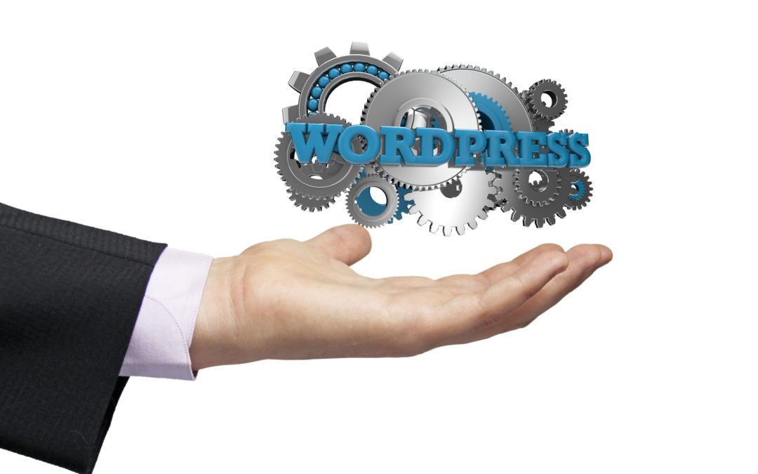 5 WordPress Hacks Every Small Business Owner Should Know