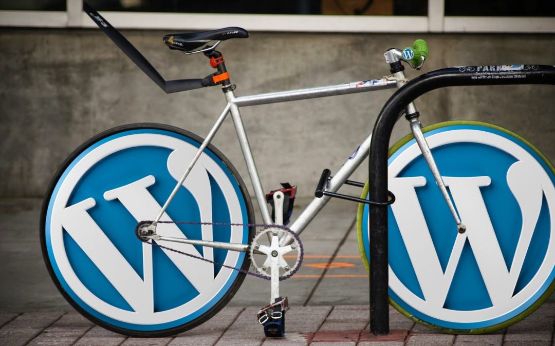 To Update or Not to Update: Should You Keep the Current WordPress Version or Update to 5.0?