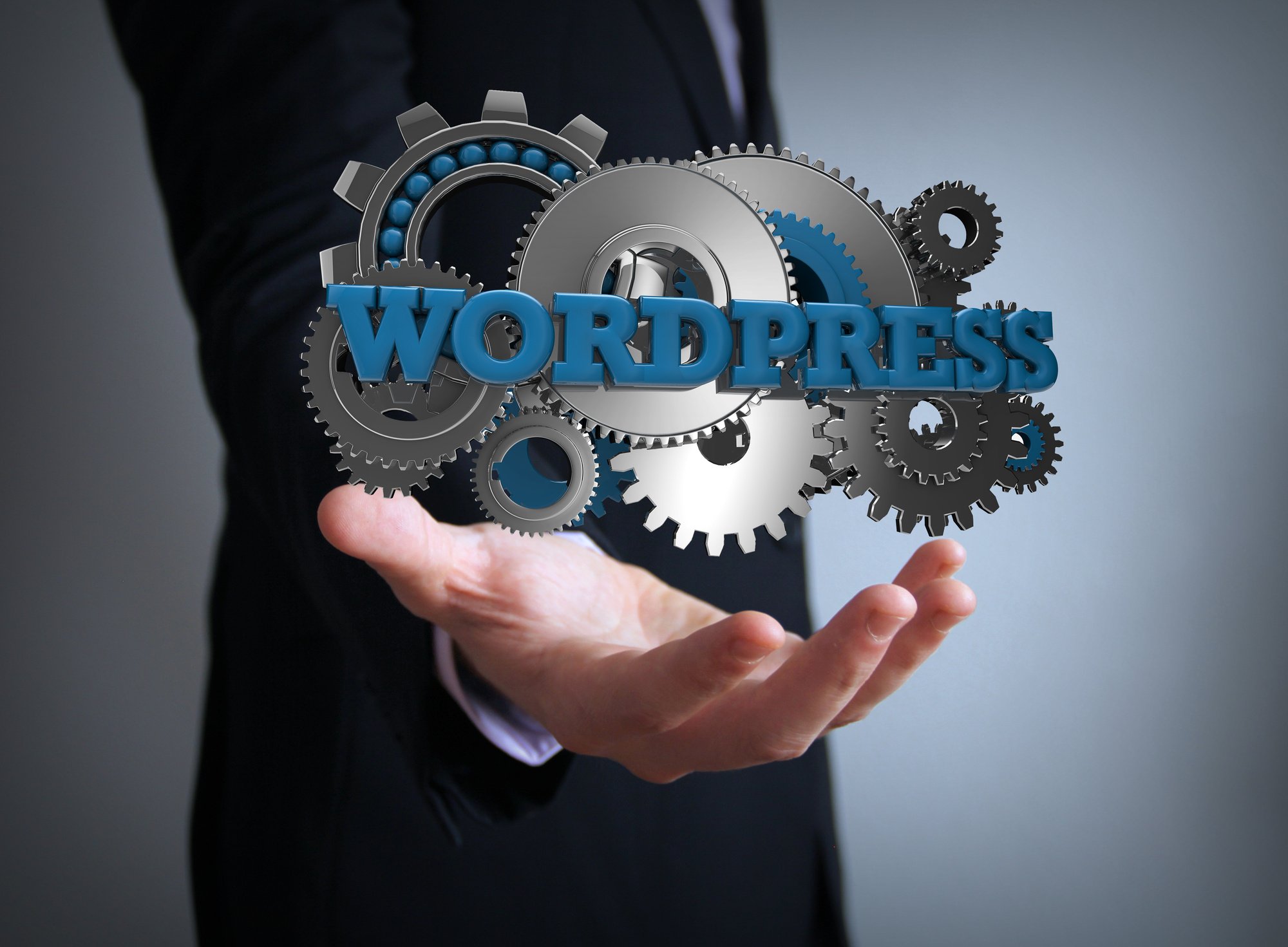 wordpress website care plans